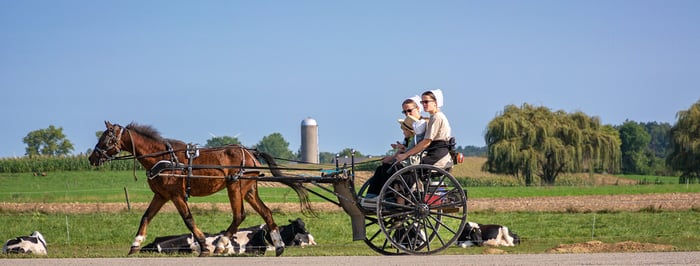 Image for Horse and Cart with Cows