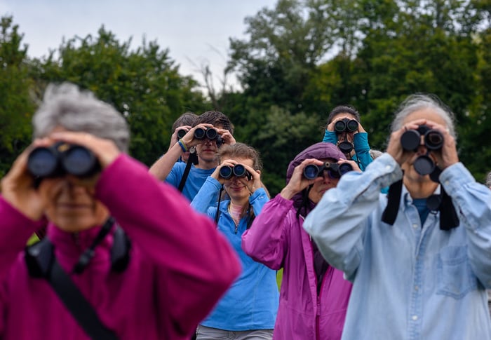 Image for Bird Watchers