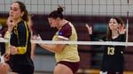 Image for Volleyball picks up road win at Heidelberg