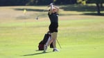 Image for Women's golf returns to action at MSJ