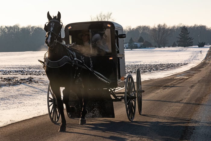 Image for Out for a Drive