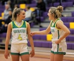 Image for Northeastern vs Centerville girls basketball 2023 Wayne County Tournament