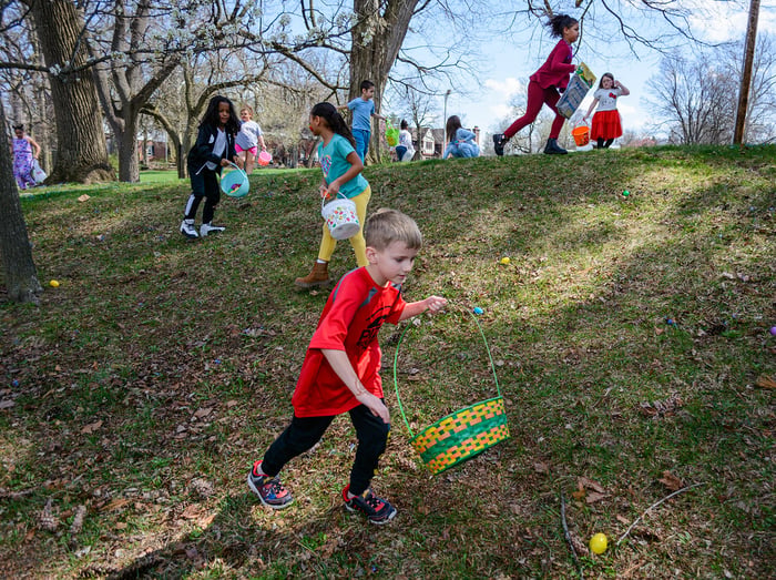 Image for Hunting Eggs