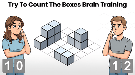 Try To Count The Boxes Brain Training
