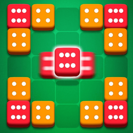 Dice Puzzle