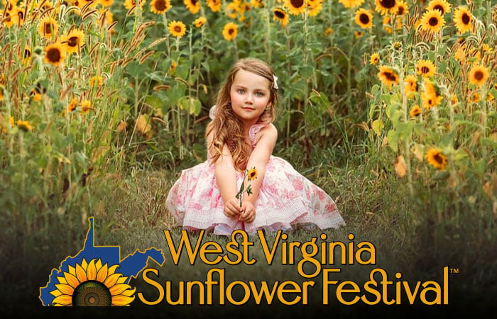 Sunflower Festival