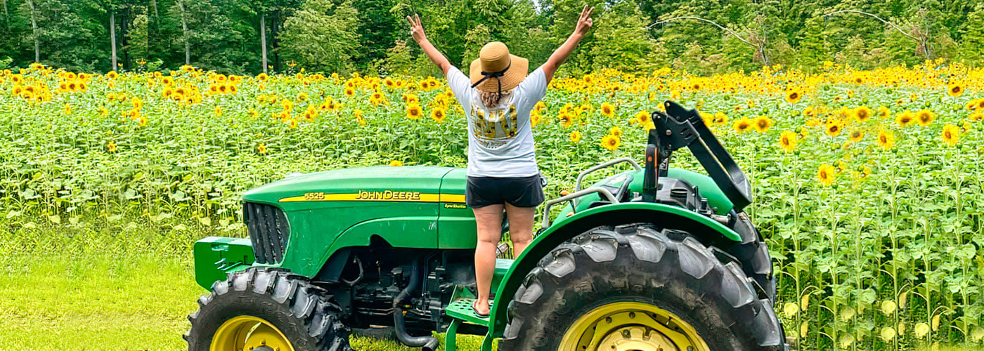 WV Strawberry & Sunflower Farm