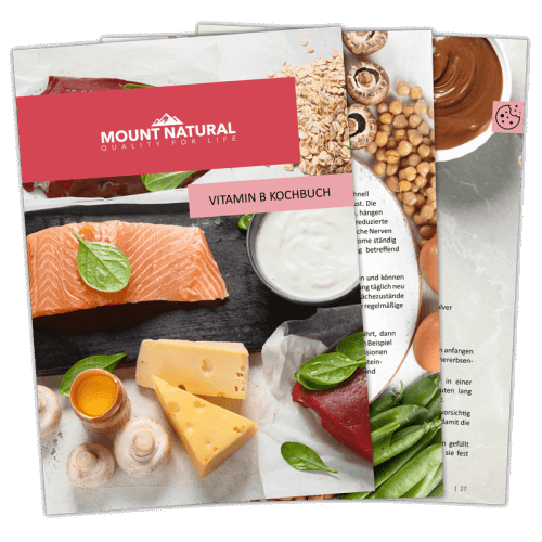Digitales Vitamin B Kochbuch