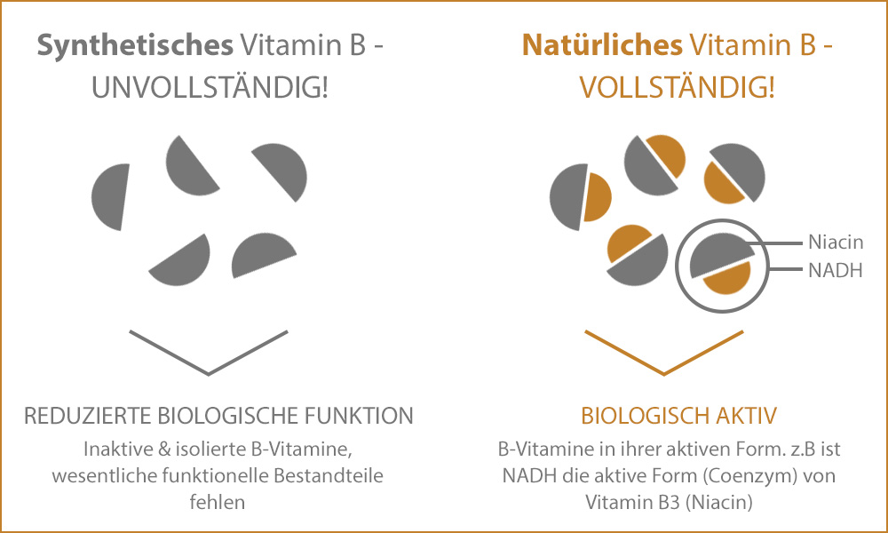 Vitamin B: synthetisch vs. natürlich