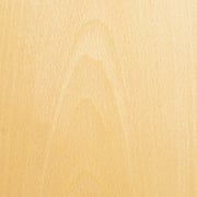 Buche weiß – Bild 2