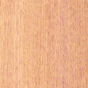 Zeder bolivianisch – Bild 3