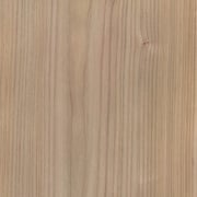 Rüster rot – Bild 2