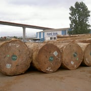 Bubinga Pommele - Image 3