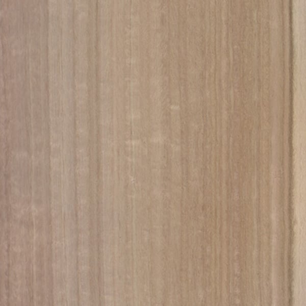 Eukalyptus