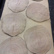 End-grain Elm - Image 2