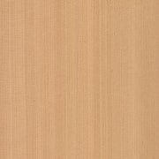 Zeder Western Red – Bild 2