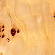 Pappel Cluster – Bild 2