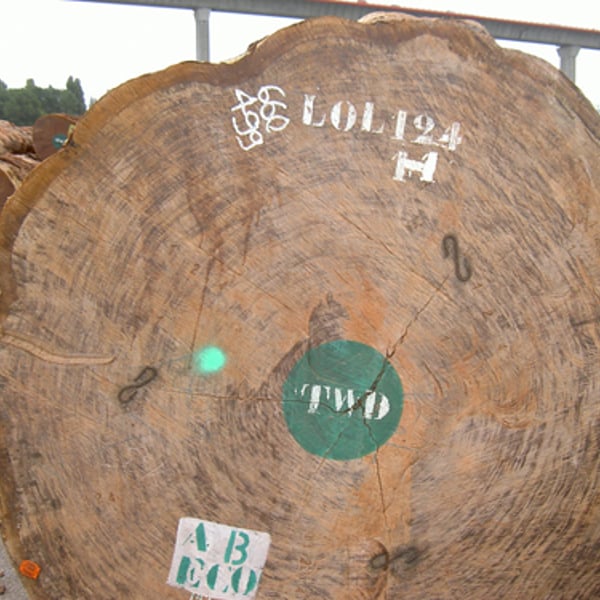 Bubinga - Furniere aus Echtholz von Schorn & Groh