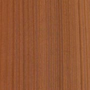 Sapele - Image 4
