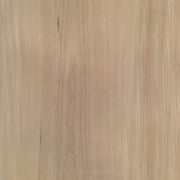 Rüster rot – Bild 4