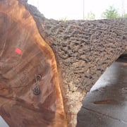 Walnut black - Image 5