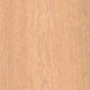 Zeder bolivianisch – Bild 2