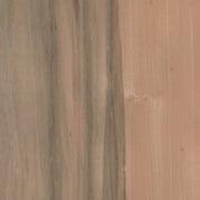 Nussbaum australisch – Bild 4