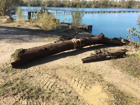 Schorn&Groh_News_uralteMooreiche_Furnier1