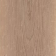 Black cherry American