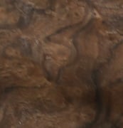 California walnut burl - Image 2