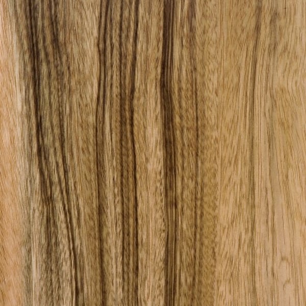 Paldao Furnier aus Echtholz | Schorn&Groh GmbH