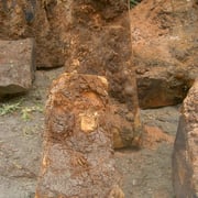 Vavone cluster - Image 3