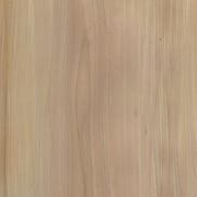 Rüster rot – Bild 3