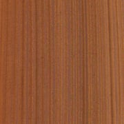 Sapele - Image 3