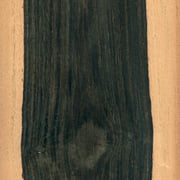 African Ebony