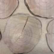 End-grain Elm