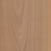 Kirschbaum eur. – Bild 2