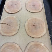 Hirnholz am. Kirschbaum – Bild 2