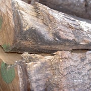 Anegré geriegelt – Bild 3