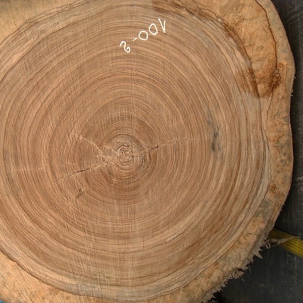 Zebrawood - Furniere aus Echtholz von Schorn & Groh
