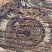 Poisonwood – Bild 3