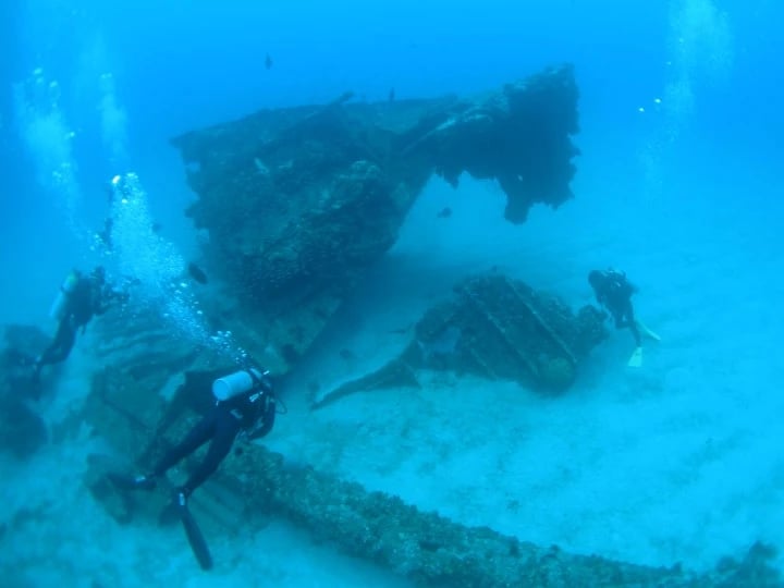 A Diver Embraces the Mesmerizing Depths, Immersed in a World of Wonders and Heart-Pounding Excitement.