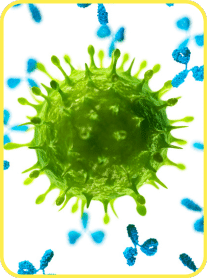 Benefit: Immunity Shield