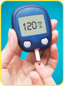 Benefit: Blood Sugar Support
