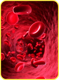 Benefit: Heart Health Booster