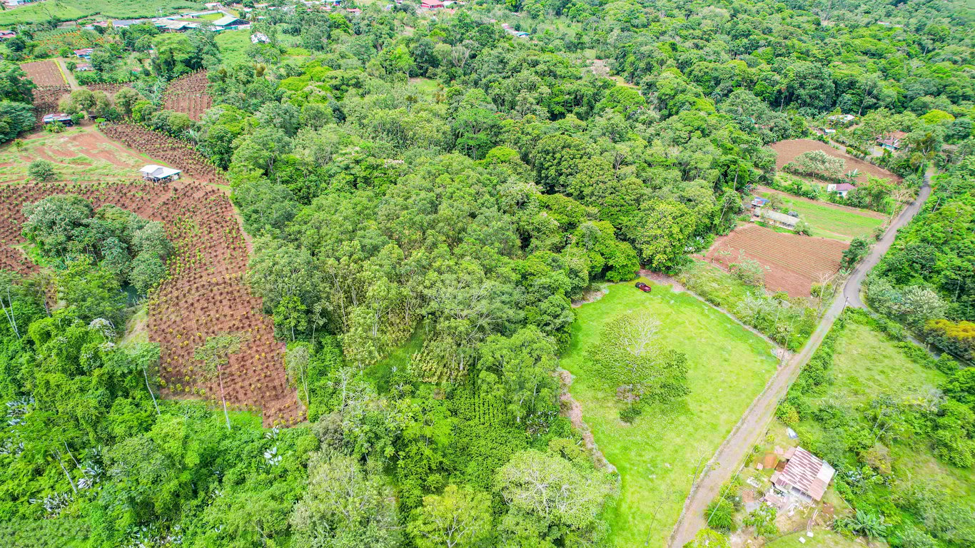 Nature Sanctuary Land with Water Spring – La Tigra, near La Fortuna