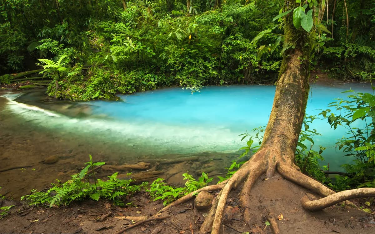 Rio Celeste Hike - Photo 8