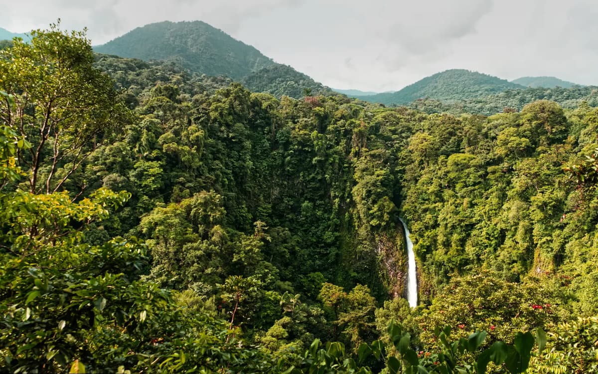 Mini Combo #1 – Volcano Hike + Waterfall + Lunch - Photo 2