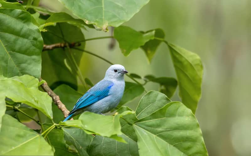 Why Small Group Tours Win Every Time in Costa Rica