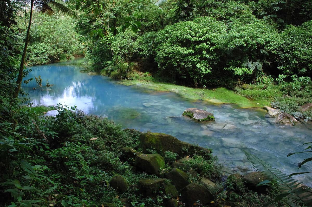 Rio Celeste Hike - Photo 6